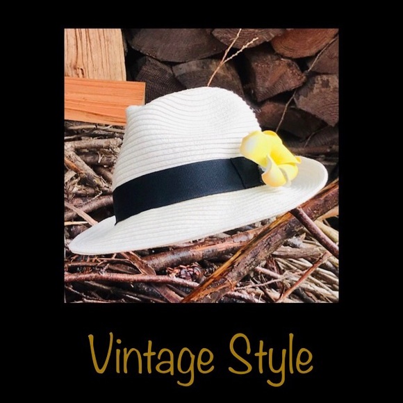 🌼Aritzia Straw Panama Hat